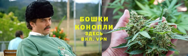 стафф Горнозаводск