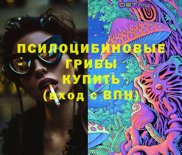 стафф Горнозаводск