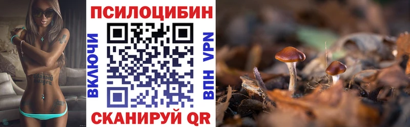 ОМГ ОМГ ONION  Юрга  Псилоцибиновые грибы мухоморы  купить  цена 