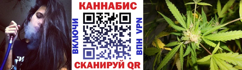 где купить наркоту  Юрга  МАРИХУАНА SATIVA & INDICA 